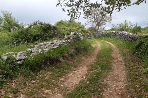 Stavbno zemljišče Barban, 1.381m2