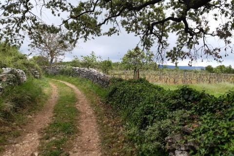 Stavbno zemljišče Barban, 1.381m2