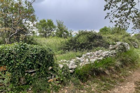 Stavbno zemljišče Barban, 1.381m2