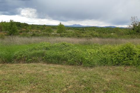 Stavbno zemljišče Barban, 1.381m2