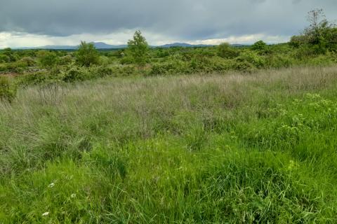 Stavbno zemljišče Barban, 1.381m2