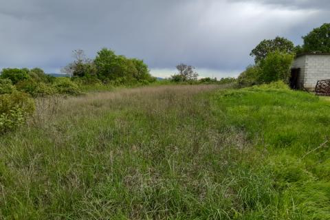 Stavbno zemljišče Barban, 1.381m2