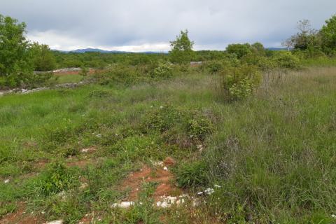 Stavbno zemljišče Barban, 1.381m2