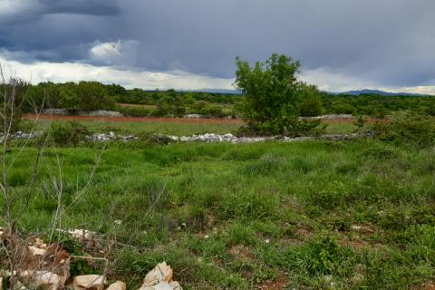 Stavbno zemljišče Barban, 1.381m2