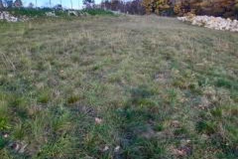 Stavbno zemljišče Tinjan, 1.859m2