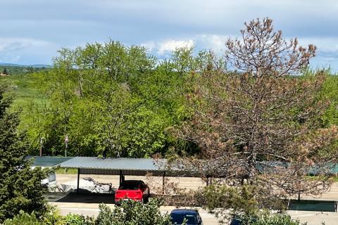 Stanovanje/Apartma Novigrad, 56,37m2