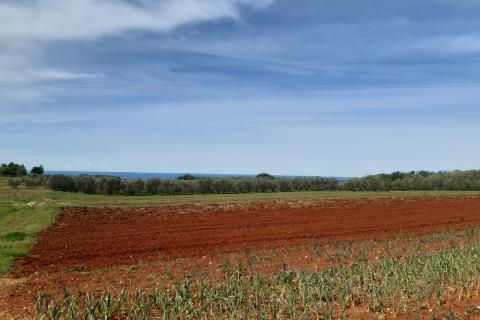 Stavbno zemljišče Kaštelir, Kaštelir-Labinci, 918m2