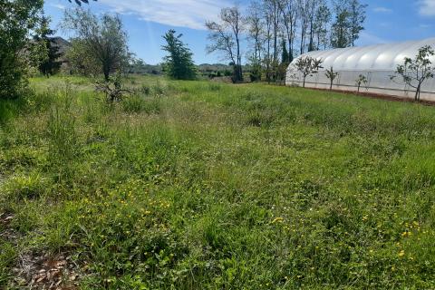 Stavbno zemljišče Labinci, Kaštelir-Labinci, 796m2