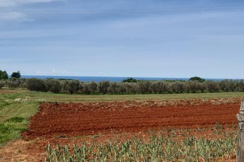 Stavbno zemljišče Labinci, Kaštelir-Labinci, 796m2