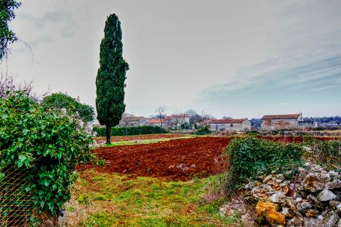 Istra, Manjadvorci -veliko imanje sa idejnim projektom