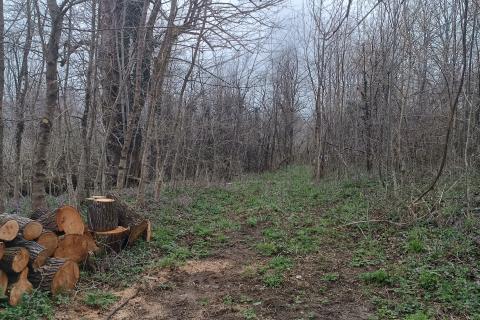 Дом Janja Gora, Plaški, 625m2