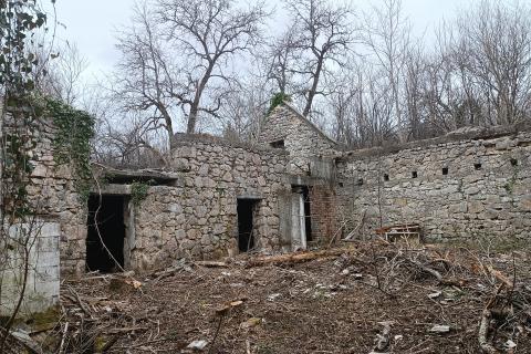 Дом Janja Gora, Plaški, 625m2