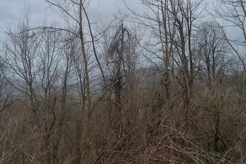 Дом Janja Gora, Plaški, 625m2