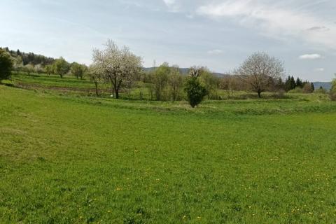 Gorski kotar, Gomirje - građevinsko zemljište, 3522 m2