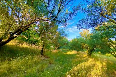 Terreno edificabile Draguć, Cerovlje, 2.257m2