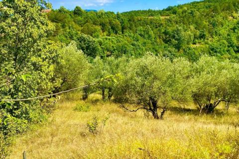 Terreno edificabile Draguć, Cerovlje, 2.257m2