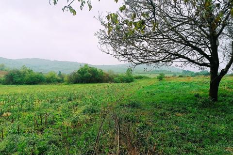 Дом Pothum Plaščanski, Plaški, 208m2