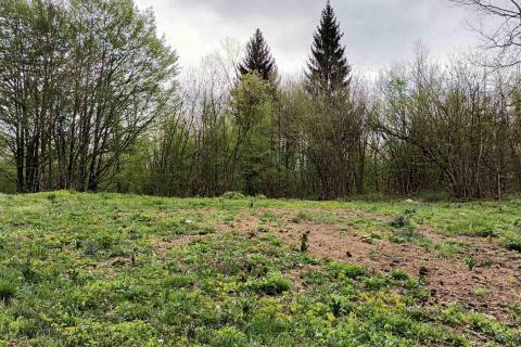 Stavbno zemljišče Vujnovići, Vrbovsko, 2.493m2