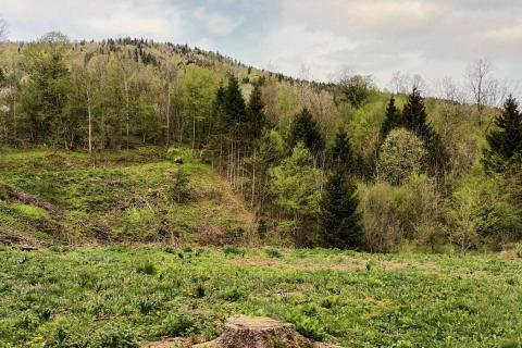 Stavbno zemljišče Vujnovići, Vrbovsko, 2.493m2