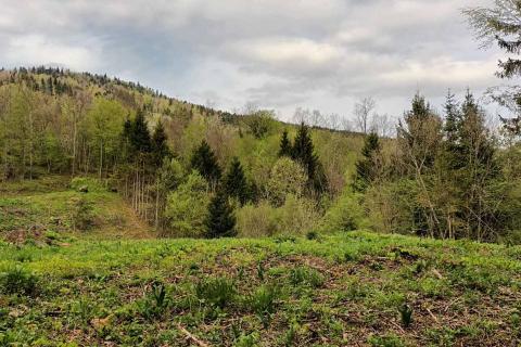 Stavbno zemljišče Vujnovići, Vrbovsko, 2.493m2