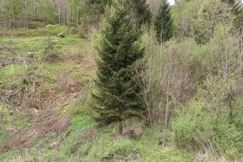 Stavbno zemljišče Vujnovići, Vrbovsko, 2.493m2