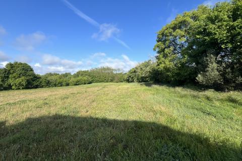 Istra, Kringa, građevinsko zemljište 2933 m2