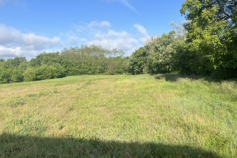 Istra, Kringa, građevinsko zemljište 2933 m2