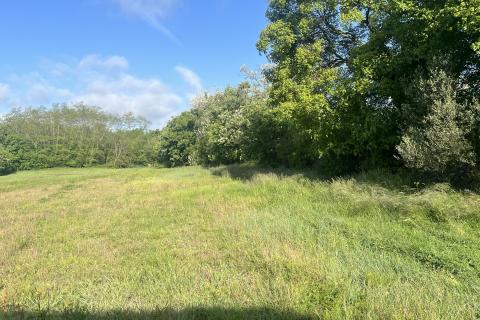 Istra, Kringa, građevinsko zemljište 2933 m2