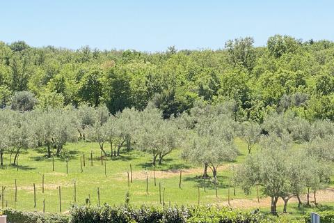 Дом Malinska, Malinska-Dubašnica, 1.000m2