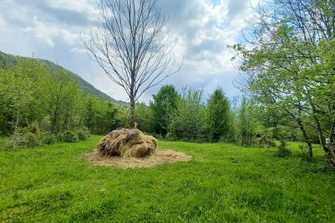 Stavbno zemljišče Belo, Delnice, 1.964m2