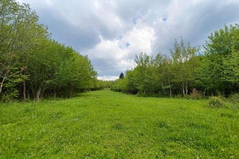 Stavbno zemljišče Belo, Delnice, 1.964m2