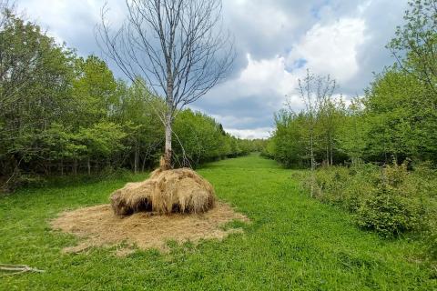Stavbno zemljišče Belo, Delnice, 1.964m2