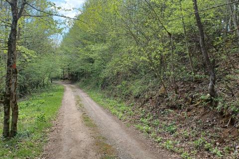 Stavbno zemljišče Belo, Delnice, 1.964m2