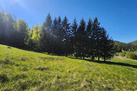 Terreno edificabile Vrata, Fužine, 21.911m2