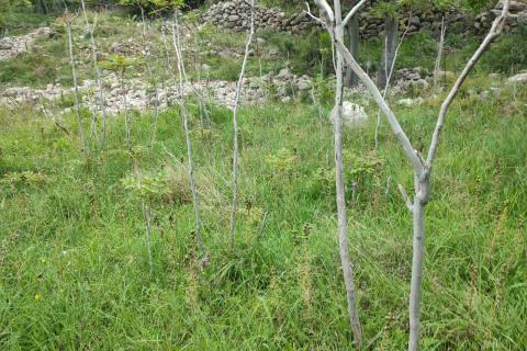 Niet bouwgrond Baška, 361m2