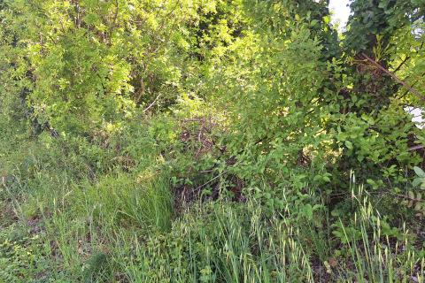 Terreno non edificabile Kraljevica, 779m2