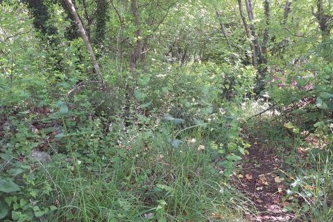 Terreno non edificabile Kraljevica, 779m2