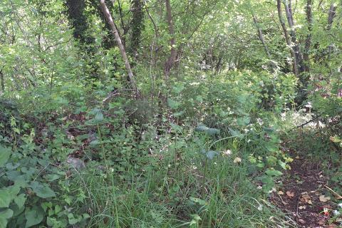 Terreno non edificabile Kraljevica, 779m2