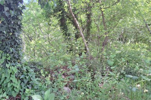 Terreno non edificabile Kraljevica, 779m2