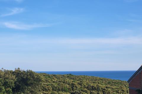 Stavbno zemljišče Duga Uvala, Marčana, 267m2