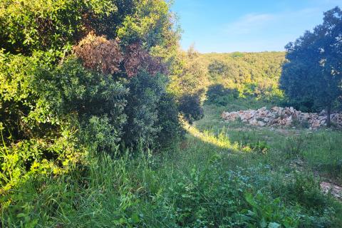 Stavbno zemljišče Duga Uvala, Marčana, 267m2