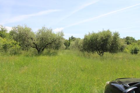 Niet bouwgrond Tar, Tar-Vabriga, 1.845m2