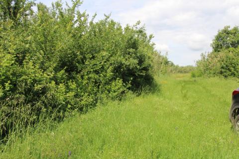 Niet bouwgrond Tar, Tar-Vabriga, 1.845m2