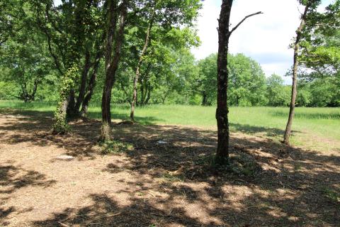 Niet bouwgrond Tar, Tar-Vabriga, 17.950m2