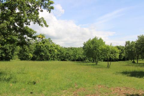 Niet bouwgrond Tar, Tar-Vabriga, 17.950m2