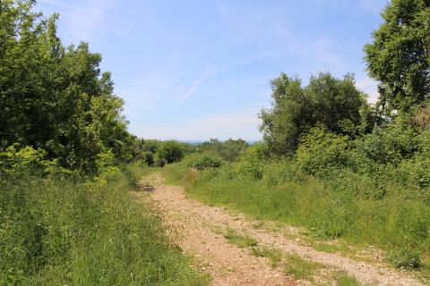 Niet bouwgrond Tar, Tar-Vabriga, 6.581m2