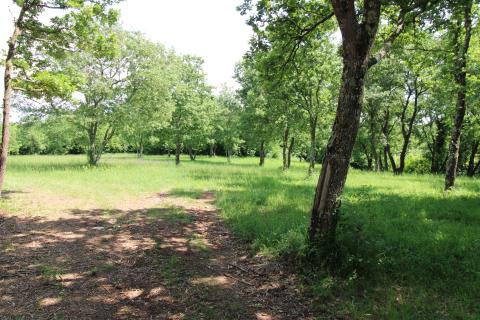 Niet bouwgrond Tar, Tar-Vabriga, 6.581m2