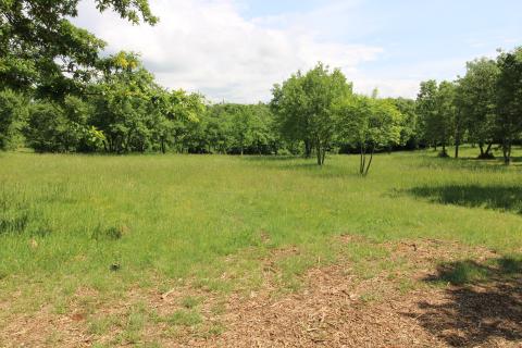 Niet bouwgrond Tar, Tar-Vabriga, 6.581m2