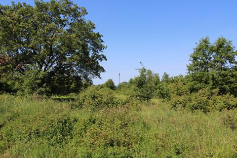 Bauland Veli Maj, Poreč, 705m2