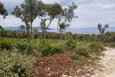 Niet bouwgrond Kavran, Marčana, 464m2